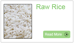 Raw Rice Exporter, Indian Raw Rice