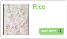 IR- 64 Rice, Rice Ecporters