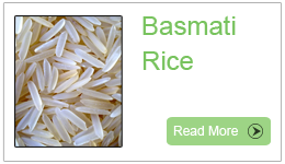 Indian Basmati Rice, Long Basmati Rice
