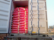 Indian Rice Exporter, Parboiled Rice IR-8